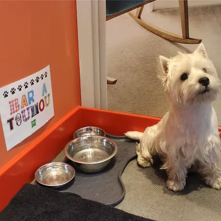 Ibis Styles Centre Grand Place Otel Lille