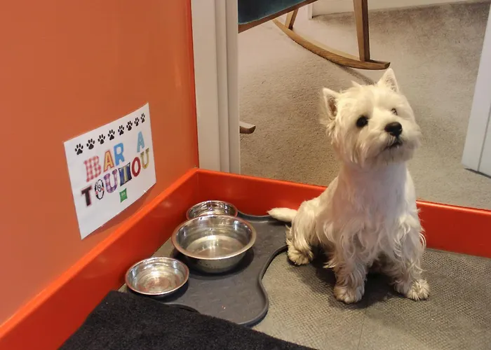 Ibis Styles Centre Grand Place Hotel 3*