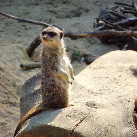 Ibis Styles Centre Grand Place Hotel Lille